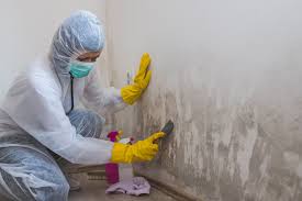 Mold Remediation for Vacation Homes in Van Horn, TX